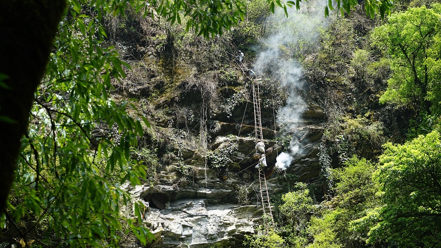 भिरमहको उत्पादन घट्यो   