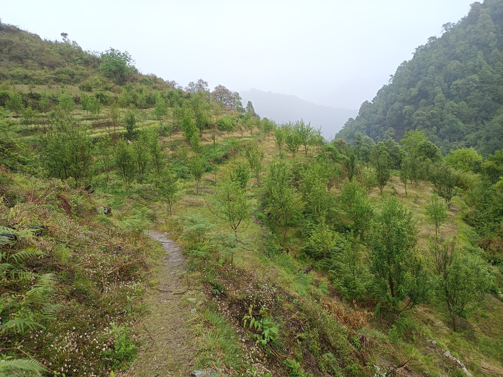 सिमस्याइलका लेकमा कृषि क्रान्ति गरिरहेका जयबहादुर   