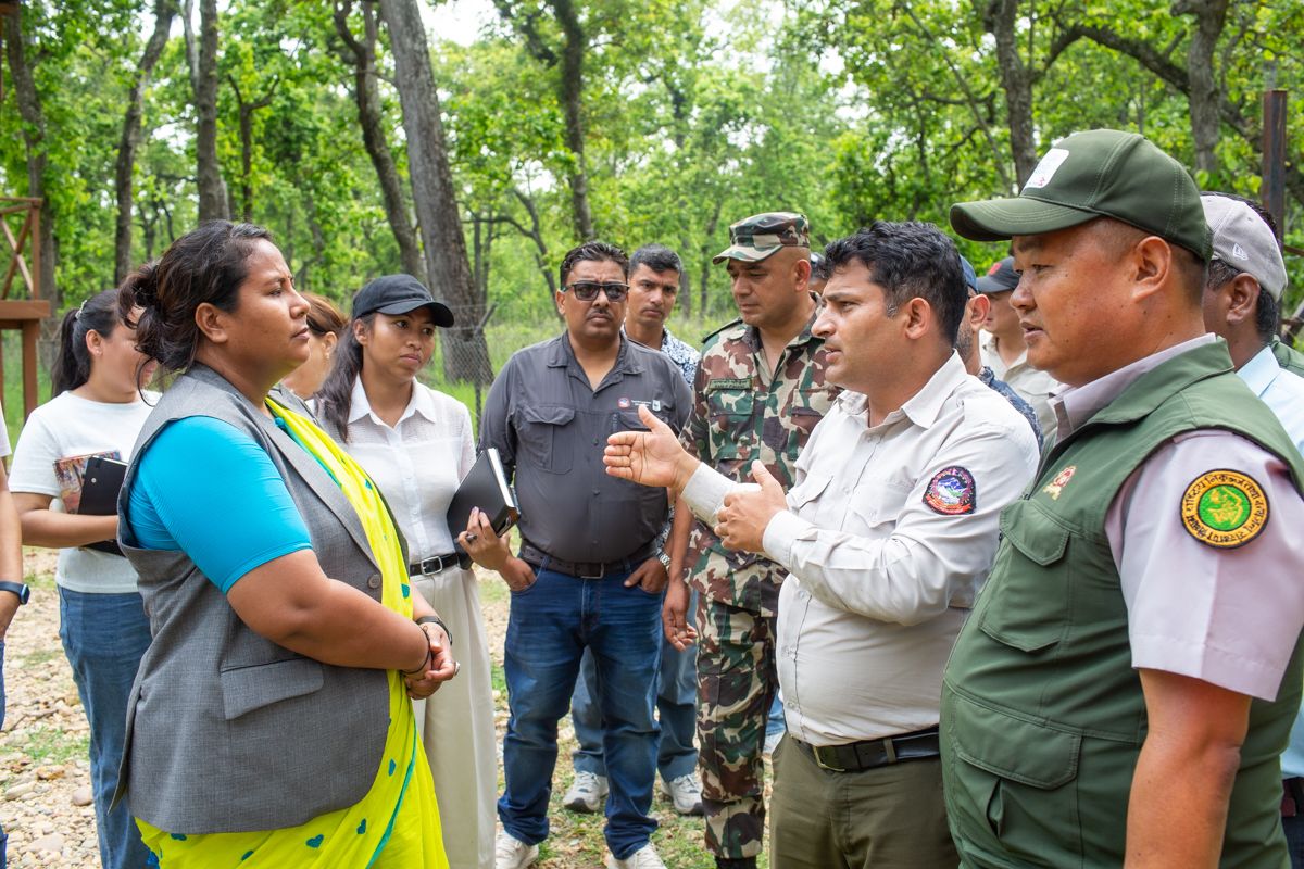 देवनगरमा ‘टाइगर सेन्चुरी’ बनाएर बाघ व्यवस्थापनको तयारी गर्दै सरकार   