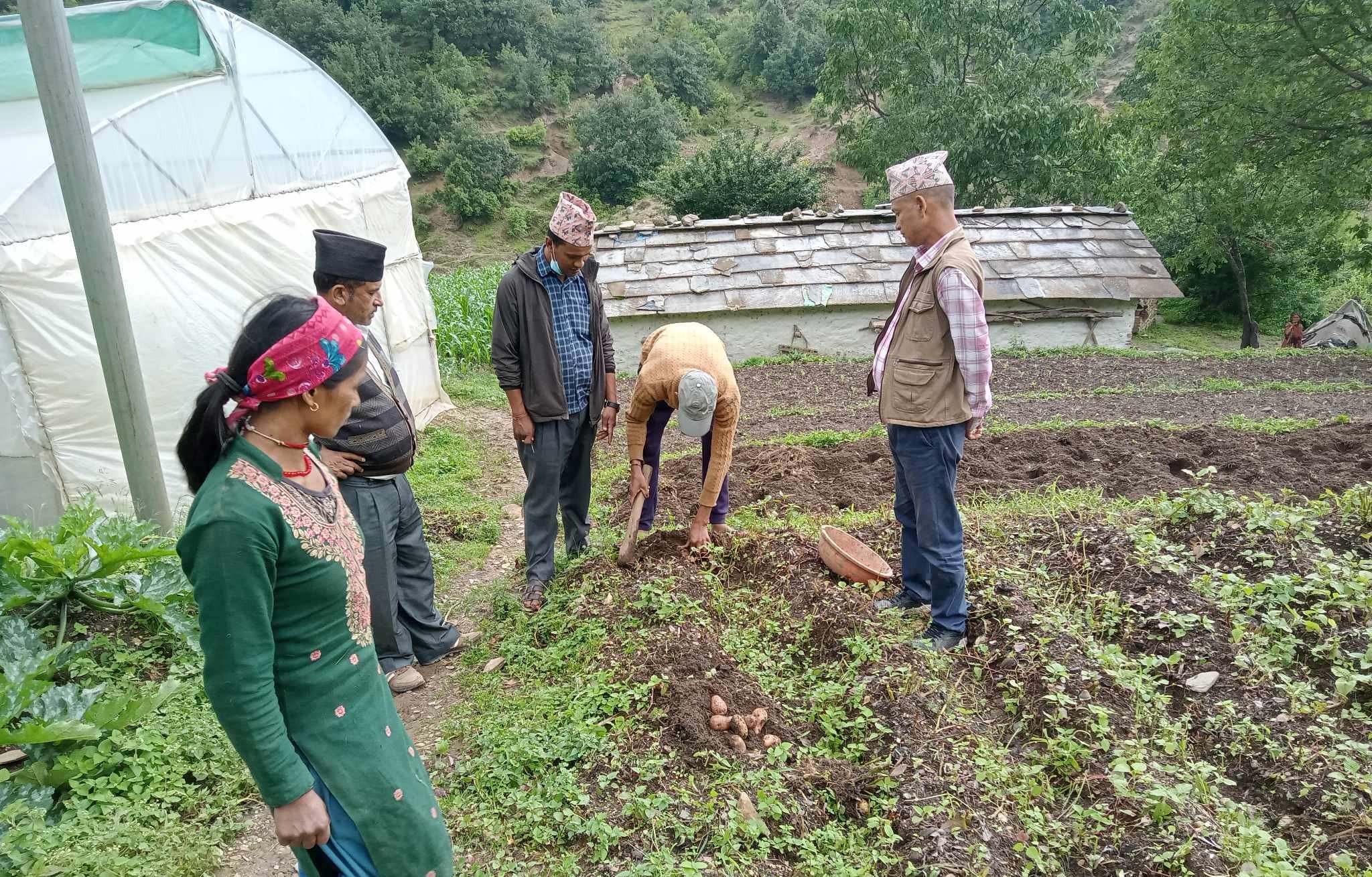 अब मजदुरी गर्न भारत जाँदैनन् आनन्दपुरका किसान     