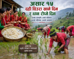 सांस्कृतिक पर्व असार १५:  धान दिवससहित दही चिउरा खाएर मनाइँदै   