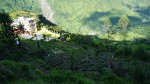 बाँझिएको पाखोबारीमा झाडी फाडेर तरकारी खेती