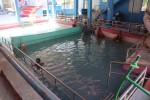 प्राकृतिक उपचारस्थल सिङ्गा तातोपानी कुण्ड पुनःसञ्चालन   