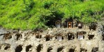 म्याग्दीमा व्यावसायिक अरिँगाल पालन