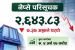 नेप्से परिसूचक सात अङ्कले घट्यो