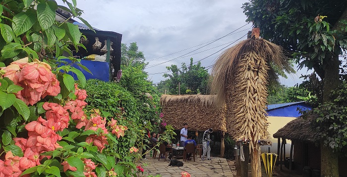 तनहुँमा मकैको उत्पादन बढ्यो   