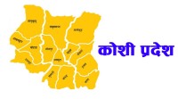 कोशी प्रदेशसभाः आर्थिक सर्वेक्षण पेस