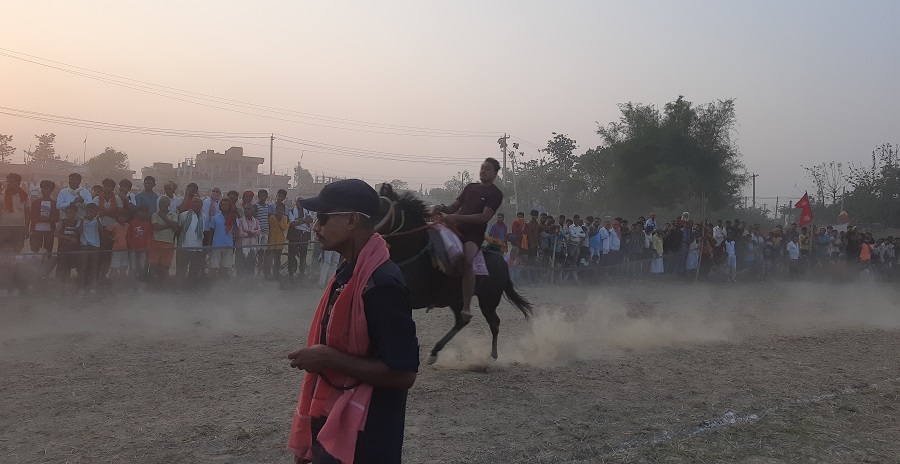 संस्कृति जोगाउन घोडा दौड