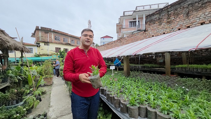 नर्सरीबाट वार्षिक ४० लाख आम्दानी