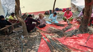 वन उद्यममा जोडिँदै नवलपुरका महिला   