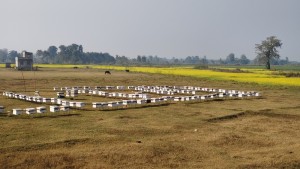 महबाटै करोडको कारोबार गर्नुहुन्छ विनोद हमाल   