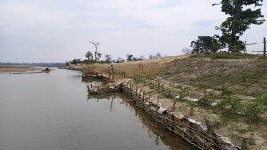 कन्द्रा नदी नियन्त्रणमा जैविक तटबन्ध प्रभावकारी बन्दै    