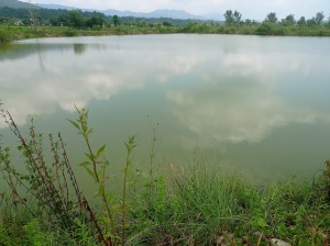 पानीको स्रोत पुनर्भरण पोखरी   