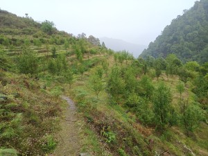 सिमस्याइलका लेकमा कृषि क्रान्ति गरिरहेका जयबहादुर   