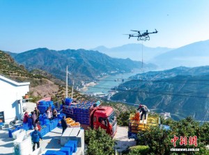 त्रिघाटी जलाशय क्षेत्रमा ड्रोनद्वारा केशर सुन्तला ढुवानी गरिँदै