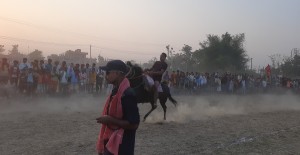 संस्कृति जोगाउन घोडा दौड   