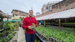 नर्सरीबाट वार्षिक ४० लाख आम्दानी