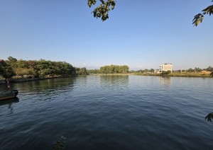 पर्यटकको आकर्षक केन्द्र बन्दै तालतलैया