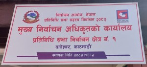 काठमाण्डू  १ः ‘हेभीवेट’ नेताको बिरासतमा नयाँ अनुहार   