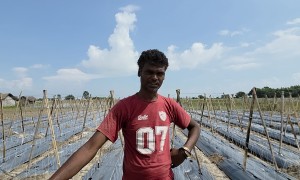 कोशीले जग्गा बगाएपछि भाडाको खेतमा तरकारीखेती गर्दै राकेश   