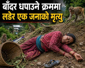 बाँदर धपाउने क्रममा लडेर एक जनाको मृत्यु