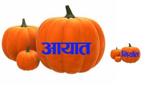 वीरगञ्ज भन्सार : भारतबाट आयात ४ खर्ब ३४ अर्ब, निर्यात ८७ अर्ब   