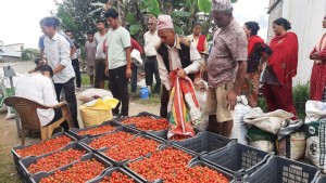 अकबरेबाटै लाखौँ आम्दानी        
