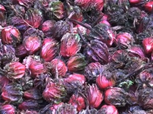 अलैँचीको मूल्य निरन्तर उकालो : प्रतिमन रु एक लाख पुग्यो