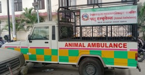 नेपालगञ्जमा ‘एनिमल एम्बुलेन्स’ सञ्चालन    
