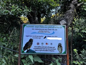 लाटोकोसेरो संरक्षित क्षेत्र बन्यो बास्कुना        