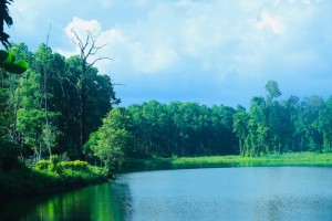 पर्यटकको रोजाइमा वेतना सिमसार   