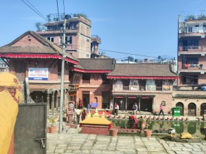 गमलैगमलाको सहर बन्दै भक्तपुर, हरियालीसँगै फेरिँदै नगरको परिचय