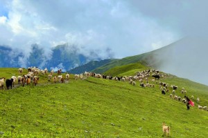 पदयात्राका लागि उत्कृष्ट गन्तव्य बन्दै ‘बुकीपाटन’    