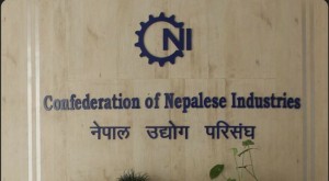 बजेटले अर्थतन्त्रलाई नयाँ दिशा दिने सिएनआईको विश्वास    