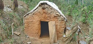 छाउगोठमा सुतेका दुई जनाको मृत्यु , एक जना घाइते    