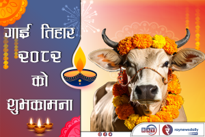 कार्तिक शुक्ल प्रतिपदाः गाई, गोरु, गोवर्द्धन र हलि पूजा   