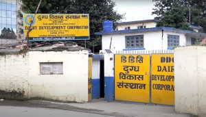प्रधानमन्त्री कार्यालयको निर्देशनपछि डिडिसीमा दूधको गुणस्तर सुधार    