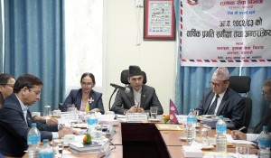 हुलाक सेवालाई व्यवस्थित गर्छौं : मन्त्री तिमिल्सिना   