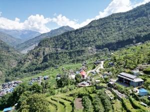 दर्मीजामा ‘होमस्टे’ को आनन्द लिन जाने होइन त ?   