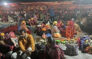 देवघाटधाममा शतबीज छर्नेको घुइँचो   