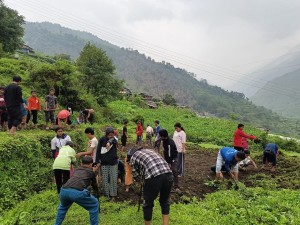 ‘धवलागिरिको इच्छा, गरिखाने शिक्षा’   