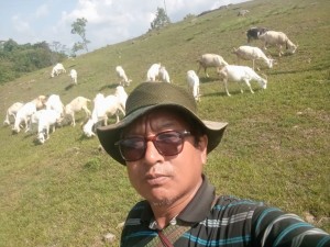 बाख्राको दूधबाट चिज बनाएर आम्दानी गर्दै गुरुङ        