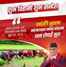 सरकारले तराईमा सिँचाइको स्थायी समाधान खोज्ने        