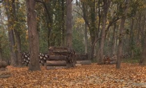 कञ्चनपुरमा डढेलोको जोखिम बढ्दो, पूर्वतयारी कमजोर   