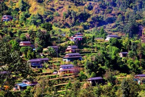 सुनसान ‘कर्लिम गाउँ’