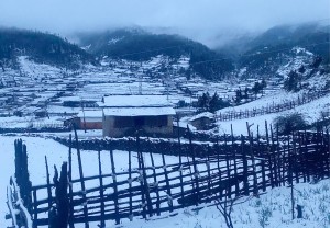 ढोरपाटनमा भारी हिमपात   