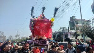 आधुनिकतासँगै सङ्कटमा पर्‍यो राना थारु समुदायको डोली-चन्डोल बोक्ने परम्परा   
