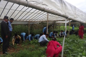 विद्यार्थीलाई अभ्यासमूलक व्यावहारिक शिक्षा दिँदै ‘यशोधरा’   