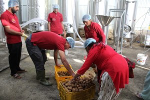 गाउँमै उद्योग थापना भएपछि किबी उत्पादन गर्ने किसानलाई राहत     