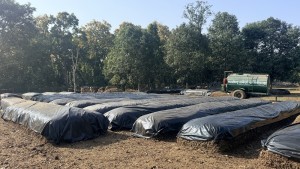 नवलपुरमा साझेदारी वनद्वारा जैविक मल उत्पादन सुरु   